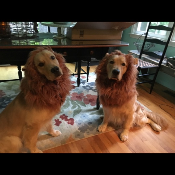 Meet your Posher, Christina - Picture 4 of 8